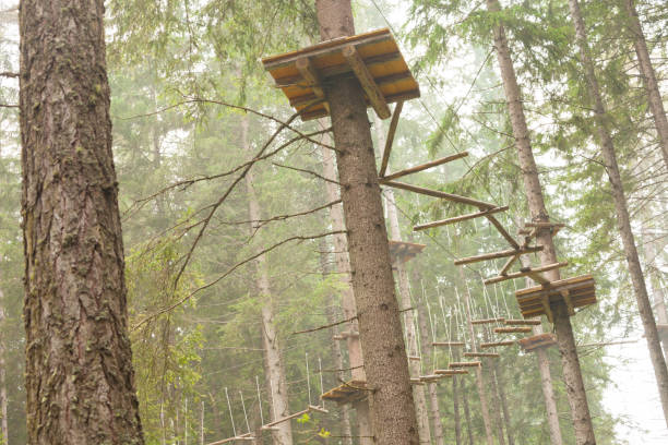 istock Tree climbing long an equipped route inside a n Italian woods in Dolomites, Italy. 1154767529
