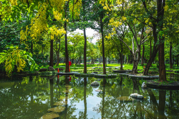 Reflections in the water, trees, and Chinese style architecture