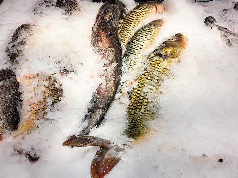 Fish  carp in ice  for sale at the fish shop