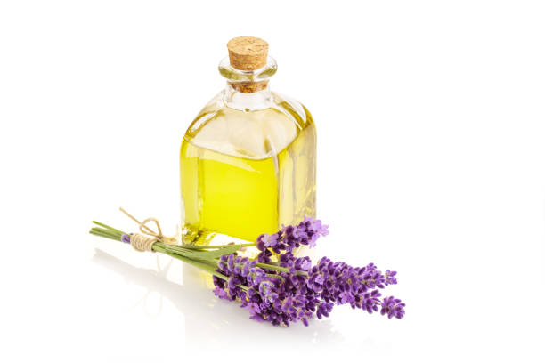 эфирное масло лаванды - lavender lavender coloured flower homeopathic medicine стоковые фото и изобр�ажения