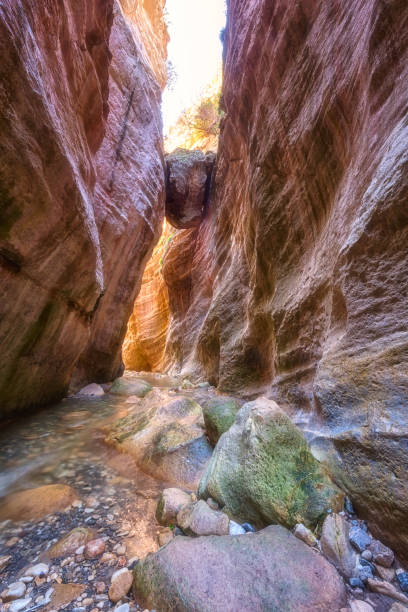 istock Amazing Avakas gorge, nature landscape, Cyprus 1154769203