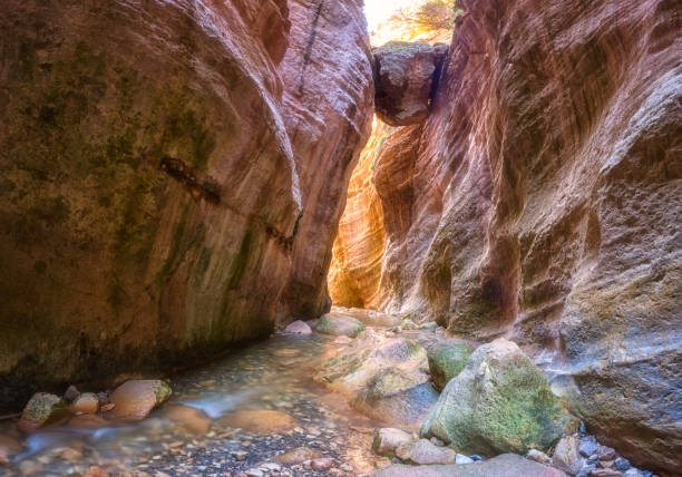 istock Amazing Avakas gorge, nature landscape, Cyprus 1154769311