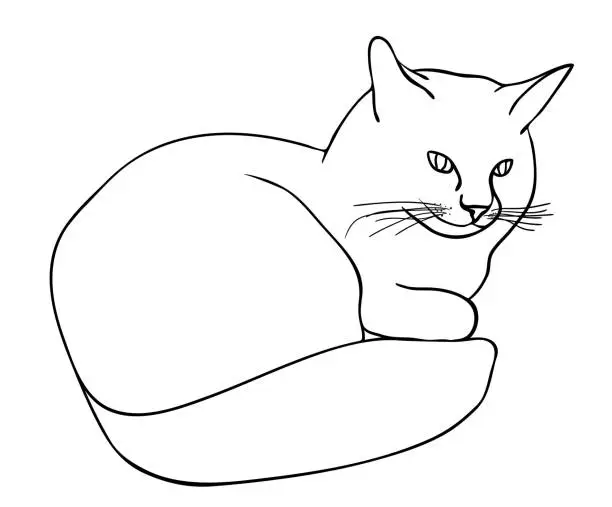 Vector illustration of Vector illustration, isolated smiling happy cat lies  in black and white colors, outline hand painted drawing