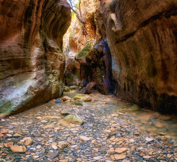 istock Amazing Avakas gorge, nature landscape, Cyprus 1154769366