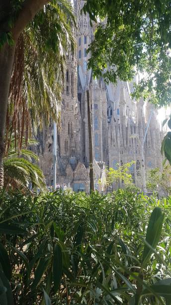 istock sagrada familia viwe from trees 1154770228