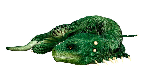istock 3D illustration green fantasy hatchling dragon on white 1154770859