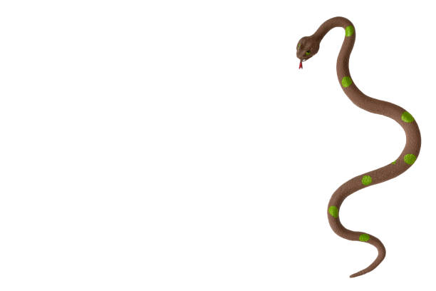 istock Fake snake toy, rubber animal for game. 1154774641