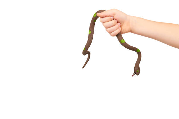 Kids Hand With Fake Snake Toy Rubber Animal For Game Stock Photo - Download  Image Now - iStock
