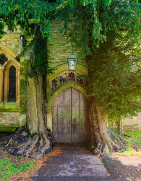An old English village church door with yew trees