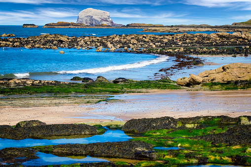 Male Southern Elephant Seal (Mirounga leonina) on Sea Lion Island in the Falkland Islands.