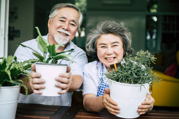 istock Elderly couples talking together and plant a trees in pots. 1154779339
