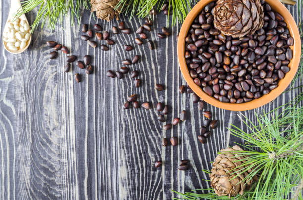 istock pine nuts pine cones coniferous branches on a wooden background 1154781177