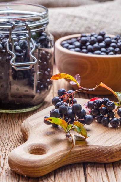 Fruits of black chokeberry prepared for processing. Shallow depth of field.
