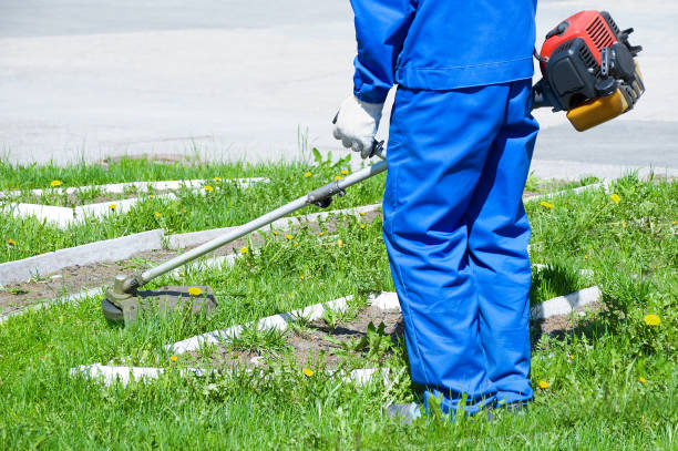 istock A man in blue working overalls mows the grass with a lawn mower. Close-up 1154782108