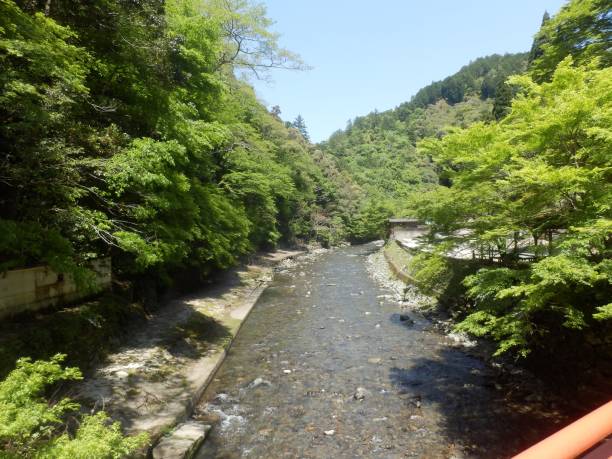 istock beautiful river in Kyoto 1154782467