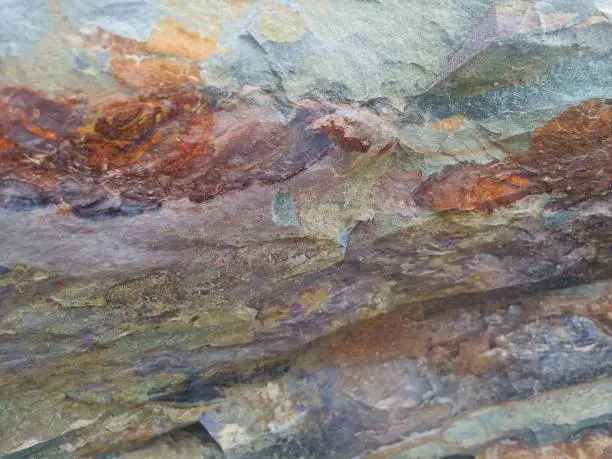 Rocks are rich in textures. They are so beautiful.