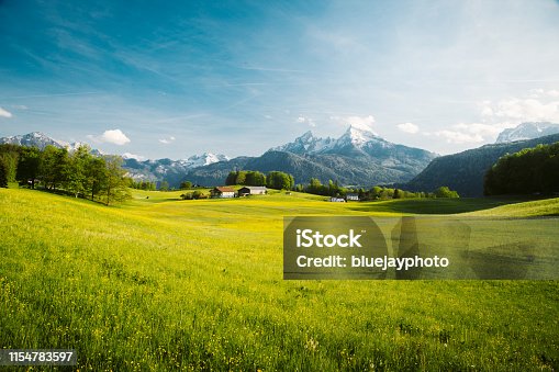 istock Idyllic landscape in the Alps with blooming meadows in springtime 1154783597