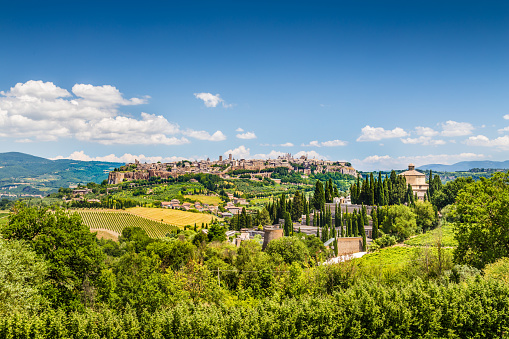 Aerial view of the city of Siena, Tuscany, Italy