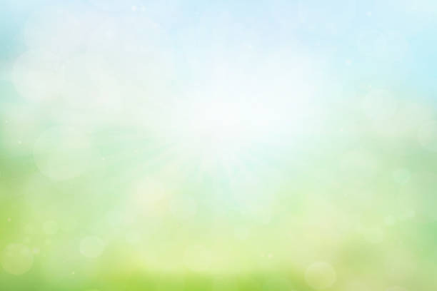 istock green bokeh from summer green background 1154783633