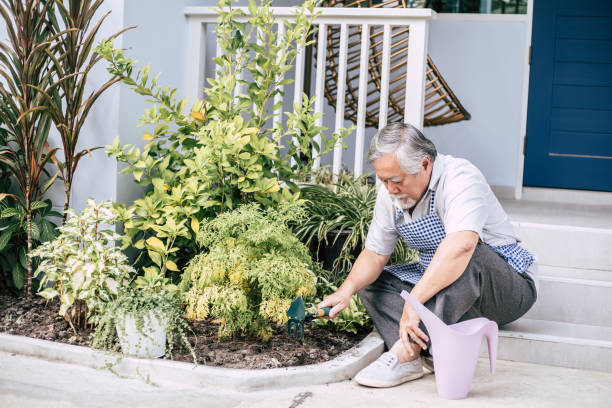 istock Senior man plant a tree at home 1154785763