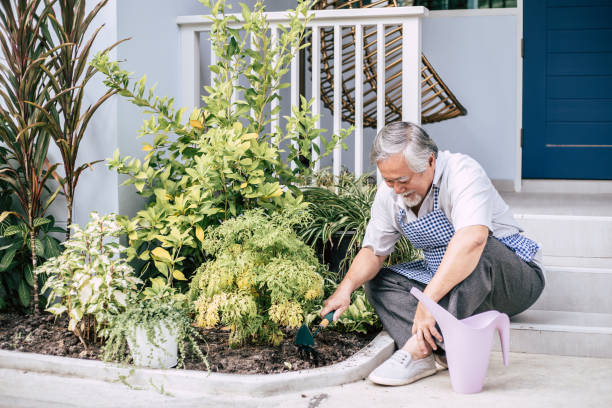 Senior man plant a tree at home