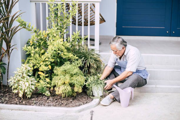 istock Senior man plant a tree at home 1154785805