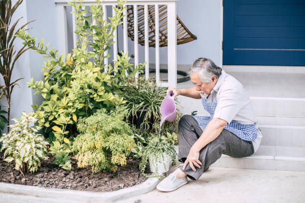istock Senior man plant a tree at home 1154785817