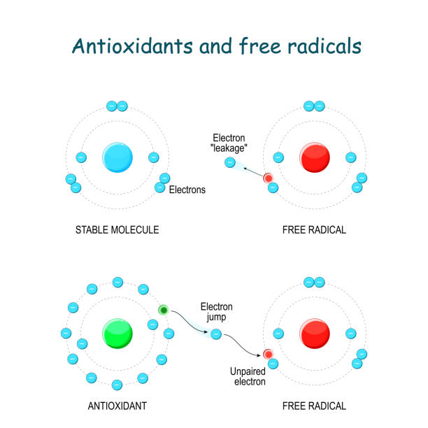 антиоксидантов и свободных радикалов. свободные радикалы реагируют со всеми молекулами на своем пути. - rust free stock illustrations