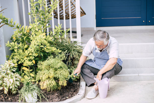 istock Senior man plant a tree at home 1154785878