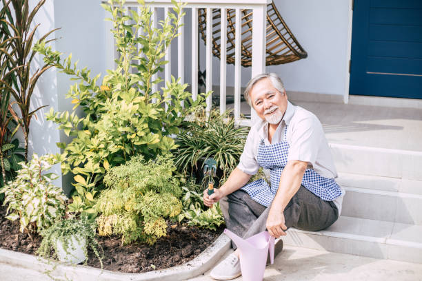 istock Senior man plant a tree at home 1154785897