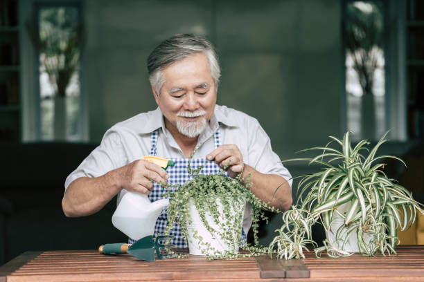 istock Senior man plant a tree at home 1154786212