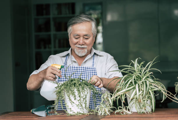 istock Senior man plant a tree at home 1154786215