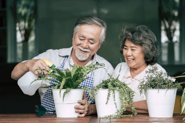 istock Elderly couples talking together and plant a trees in pots. 1154786248