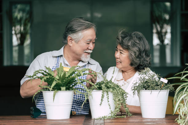 istock Elderly couples talking together and plant a trees in pots. 1154786266
