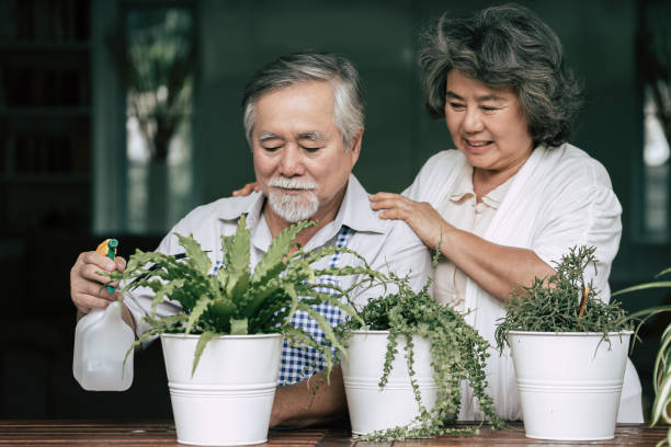 istock Elderly couples talking together and plant a trees in pots. 1154786267