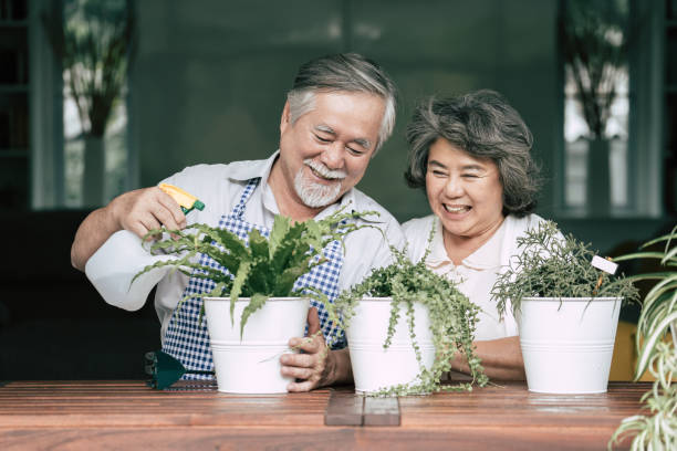 istock Elderly couples talking together and plant a trees in pots. 1154786274