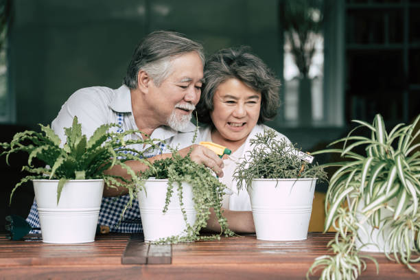 istock Elderly couples talking together and plant a trees in pots. 1154786282