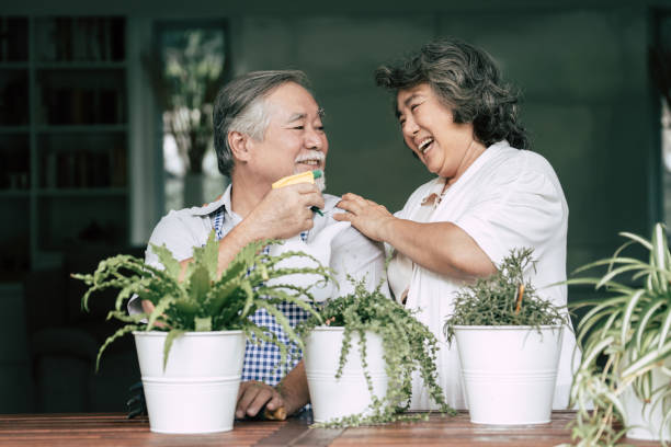 istock Elderly couples talking together and plant a trees in pots. 1154786304