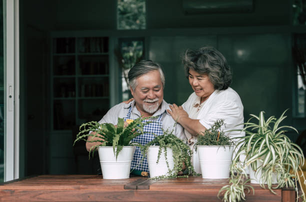 istock Elderly couples talking together and plant a trees in pots. 1154786310