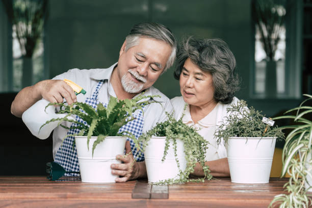 istock Elderly couples talking together and plant a trees in pots. 1154786374