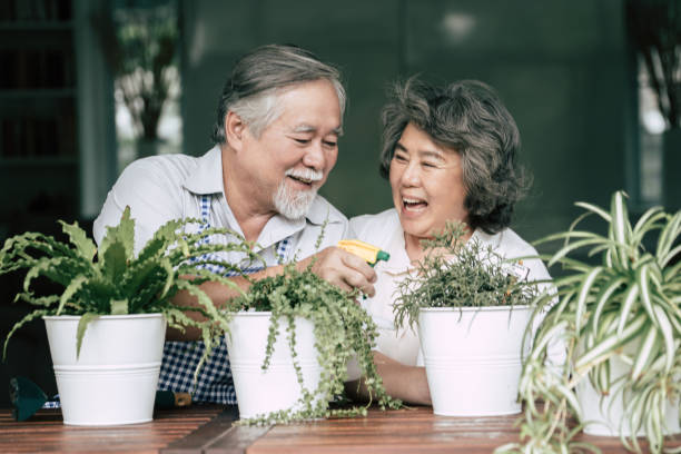 coppie anziane che parlano insieme e piantano un albero in vaso. - gardening couple senior adult ethnic foto e immagini stock