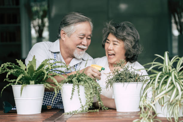 istock Elderly couples talking together and plant a trees in pots. 1154786400