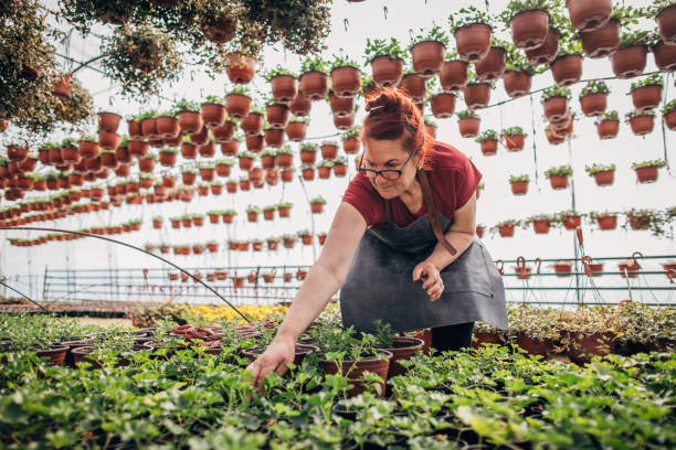 istock In gardening business 1154787686