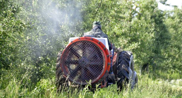 istock Tractor sprays insecticide in apple orchard fields 1154788497