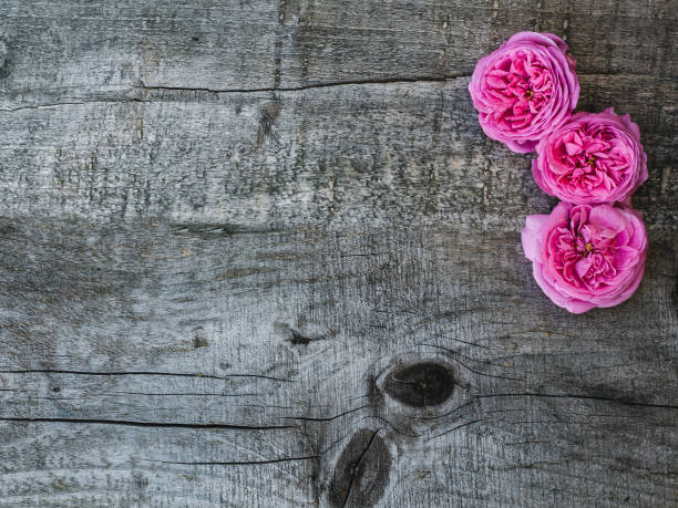 istock Beautiful, spring flowers lying on shabby boards 1154788805