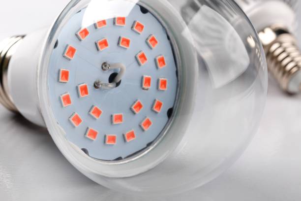 istock LED lamp for fast plant growth on white background. Close up image 1154789443