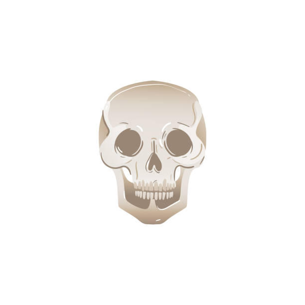 istock Cheerfull skeleton smiling skull for Halloween or other party monochrome design. 1154796660