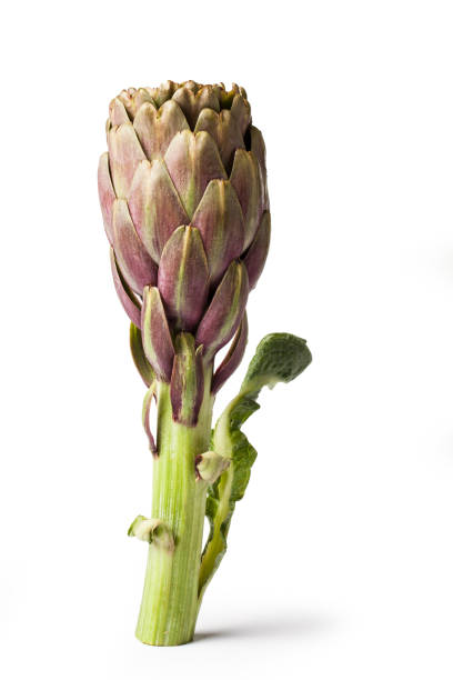 istock Artichokes - Green Artichoke 