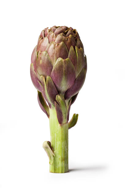 istock Artichokes - Green Artichoke 
