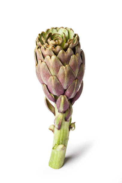 istock Artichokes - Green Artichoke 